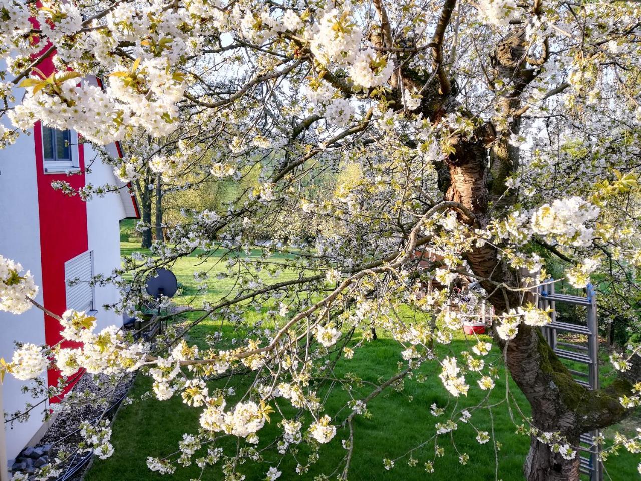 Ferienhaus Goermer Mit Wasserbett Schmölln エクステリア 写真