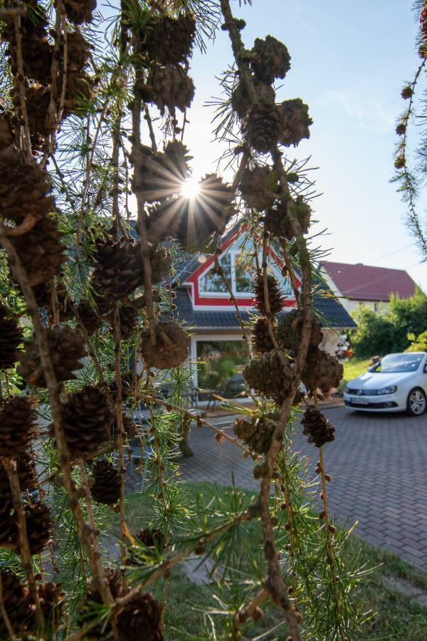 Ferienhaus Goermer Mit Wasserbett Schmölln エクステリア 写真